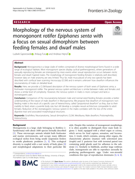 Morphology of the Nervous System of Monogonont