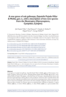 A New Genus of Oak Gallwasps, Zapatella Pujade-Villar & Melika, Gen