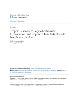 Trophic Response to Polycyclic Aromatic Hydrocarbons and Copper in Tidal Flats of North Inlet, South Carolina Leslie Lynn Muggelberg University of South Carolina