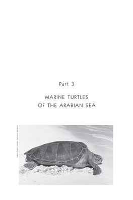 Part 3 MARINE TURTLES of the ARABIAN