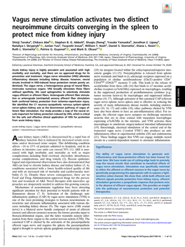 Vagus Nerve Stimulation Activates Two Distinct Neuroimmune Circuits Converging in the Spleen to Protect Mice from Kidney Injury