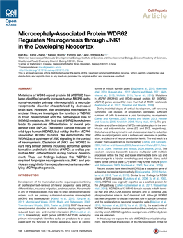 Microcephaly-Associated Protein WDR62 Regulates Neurogenesis Through JNK1 in the Developing Neocortex