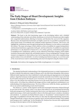 The Early Stages of Heart Development: Insights from Chicken Embryos