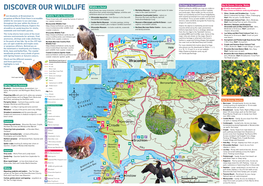 Discover Our Wildlife