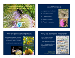 Attracting Pollinators Presentation Slides