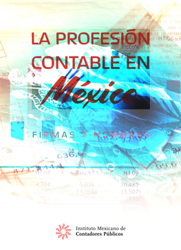 La Profesion Contable En Mexico