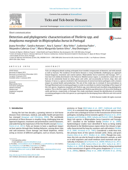 Detection and Phylogenetic Characterization of Theileria Spp