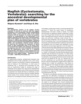 Hagfish (Cyclostomata, Vertebrata): Searching for the Ancestral Developmental Plan of Vertebrates Shigeru Kuratani* and Kinya G