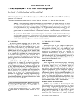 The Hypopharynx of Male and Female Mosquitoes§