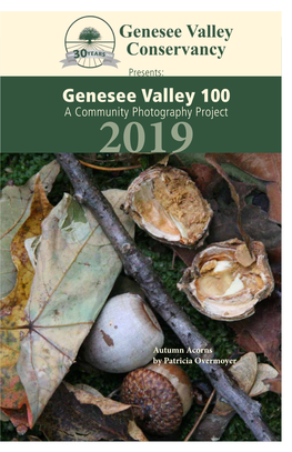 Genesee Valley 100 “Silenta Community Art Auction” Photography Project “Friday – August 7Th” “” “Program” Or “Catalog” -Image of One2019 of the Pieces, Or?