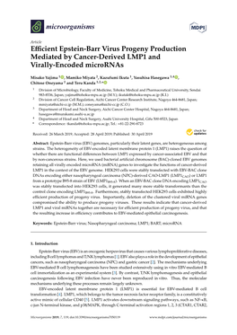 Efficient Epstein-Barr Virus Progeny Production Mediated by Cancer