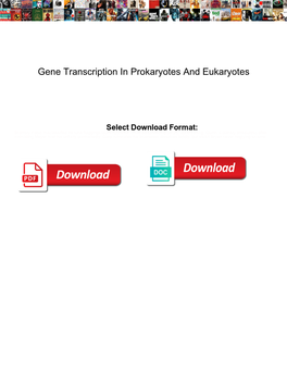 Gene Transcription in Prokaryotes and Eukaryotes