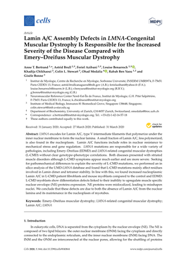 Lamin A/C Assembly Defects in LMNA-Congenital Muscular Dystrophy Is Responsible for the Increased Severity of the Disease Compar