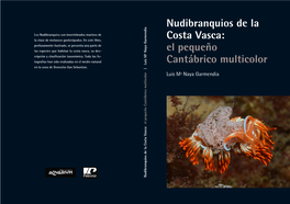 Nudibranquios De La Costa Vasca: El Pequeño Cantábrico Multicolor