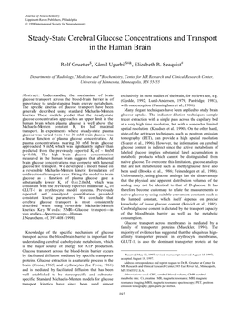 Steady-State Cerebral Glucose Concentrations and Transport in the Human Brain