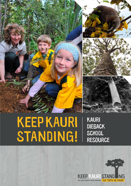 Keep Kauri Standing!