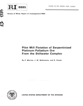 Pilot Mill Flotation of Serpentinized Platinum-Palladium Ore from the Stillwater Complex