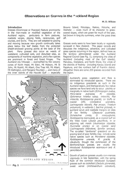 Observations on Grasses in the Auckland Region