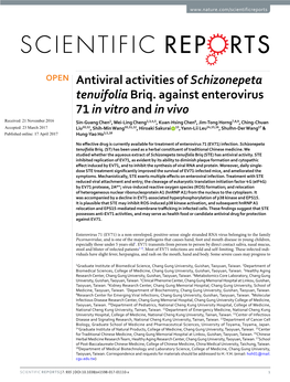 Antiviral Activities of Schizonepeta Tenuifolia Briq. Against Enterovirus