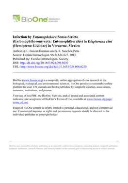 Infection by Entomophthora Sensu Stricto (Entomophthoromycota: Entomophthorales) in Diaphorina Citri (Hemiptera: Liviidae) in Veracruz, Mexico Author(S): L