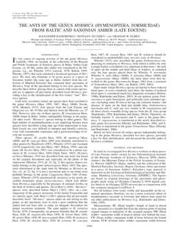 The Ants of the Genus Myrmica (Hymenoptera, Formicidae) from Baltic and Saxonian Amber (Late Eocene)