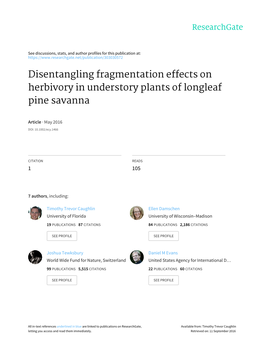 Disentangling Fragmentation Effects on Herbivory in Understory Plants of Longleaf Pine Savanna