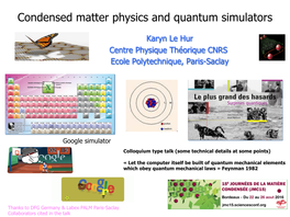 Condensed Matter Physics and Quantum Simulators