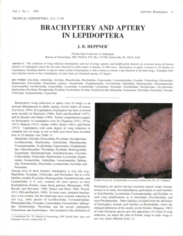 Brachyptery and Aptery in Lepidoptera
