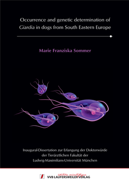 Occurrence and Genetic Determination of Giardia in Dogs from South Eastern Europe