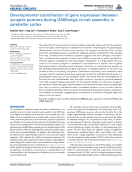 Developmental Coordination of Gene Expression Between Synaptic Partners During Gabaergic Circuit Assembly in Cerebellar Cortex