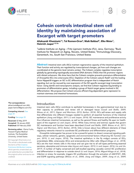 Cohesin Controls Intestinal Stem Cell Identity by Maintaining Association