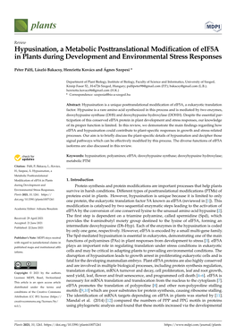 Hypusination, a Metabolic Posttranslational Modification of Eif5a in Plants During Development and Environmental Stress Responses