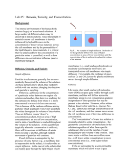 Osmosis, Tonicity, and Concentration