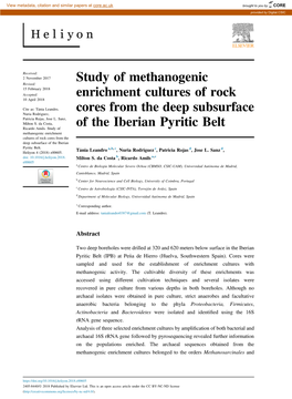 Study of Methanogenic Enrichment Cultures of Rock Cores from the Deep Subsurface of the Iberian Pyritic Belt
