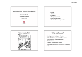 Introduction to Truffles and Their Use 20190812