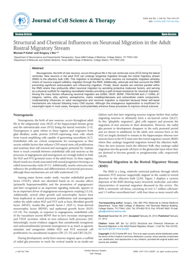 Structural and Chemical Influences on Neuronal Migration in the Adult Rostral Migratory Stream