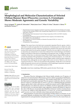 (Phaseolus Coccineus L.) Genotypes Shows Moderate Agronomic and Genetic Variability