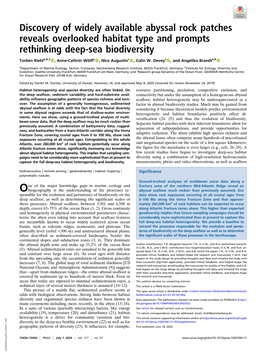 Discovery of Widely Available Abyssal Rock Patches Reveals Overlooked Habitat Type and Prompts Rethinking Deep-Sea Biodiversity