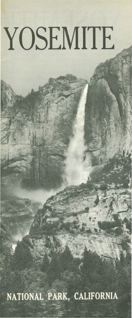 Yosemite Valley and the Mariposa Grove Were Ceded Tips for a Carefree Visit