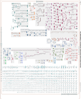 Generated by SRI International Pathway Tools Version 25.0, Authors S