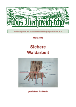 Sichere Waldarbeit