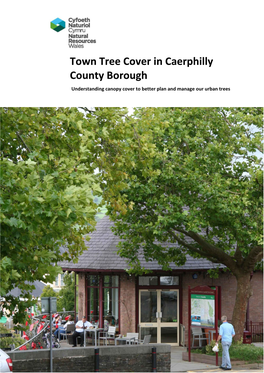 Town Tree Cover in Caerphilly County Borough