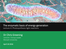 Lecture 4: Photosynthesis Light Reactions