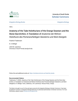 Anatomy of the Tube Holothurians of The