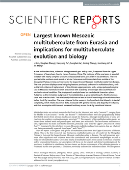 Largest Known Mesozoic Multituberculate from Eurasia And