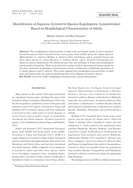 Identification of Japanese Lymantria Species (Lepidoptera: Lymantriidae) Based on Morphological Characteristics of Adults