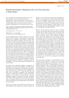 Protein Destruction: Adapting Roles for Cks Proteins J