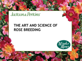 THE ART and SCIENCE of ROSE BREEDING Agenda