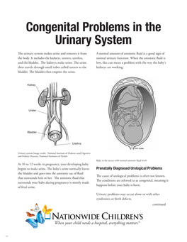 Congenital Problems in the Urinary System