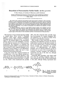 Biosynthesis of Furocoumarins: Further Studies on Ruta Graveolens